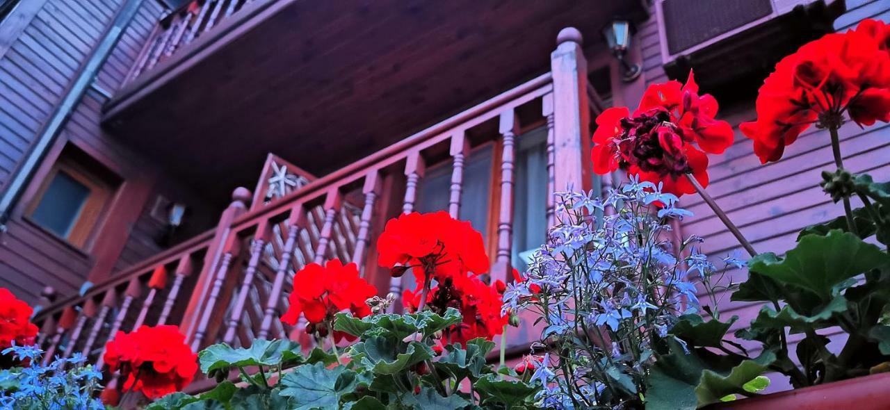 Hotel Albatros Old Town โซโซโปล ภายนอก รูปภาพ